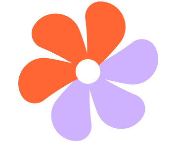 Local Barre Classes — Willow Method