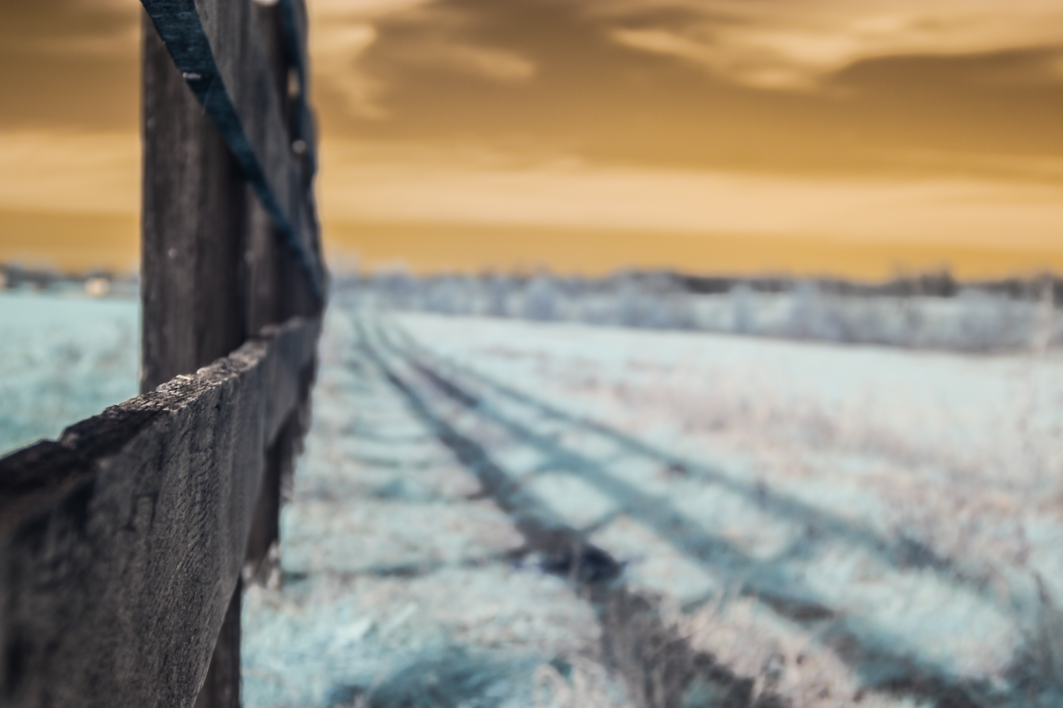 Michael_Kloth_Kentucky_Three_Plank_Fence_1768.png