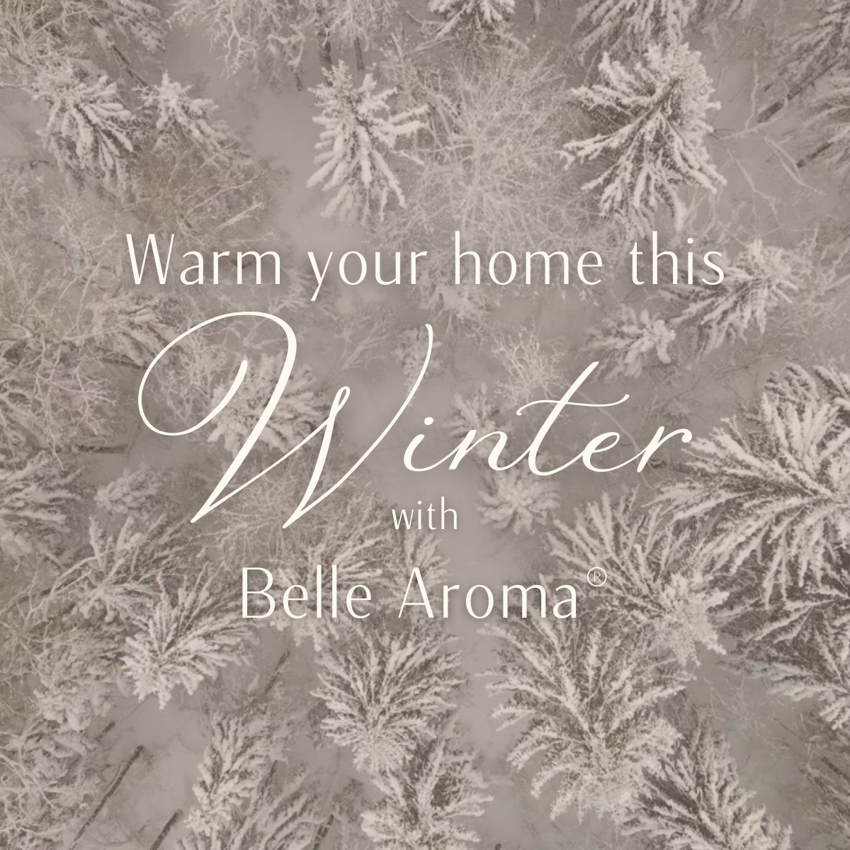 Retailers can purchase Belle Aroma&reg; products at https://faire.com/direct/bellearoma!

#fragrance #smallbusiness #womenowned #wholesale #aromatherapy #smallbusinesslove #inspiration #discoversomethingnew