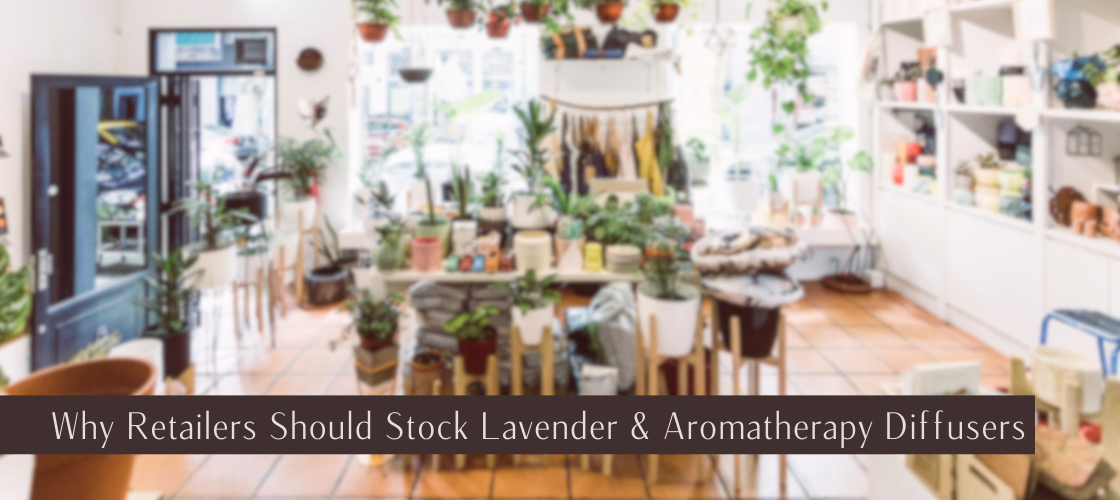 Why Retailers Should Stock Lavender and Aromatherapy Diffusers