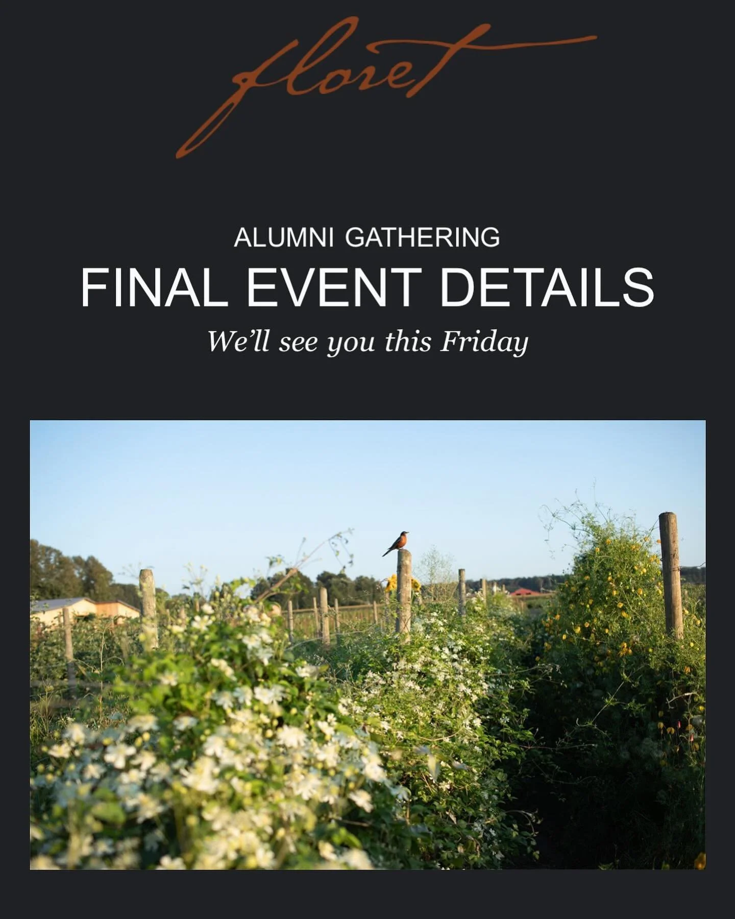 Floret alumni gathering - wait &hellip; what?! 
A few weeks ago I responded to a Floret survey and shortly after was notified that I was invited to attend an alumni gathering. I jumped at the chance and Friday I will be headed up to Skagit Valley to 