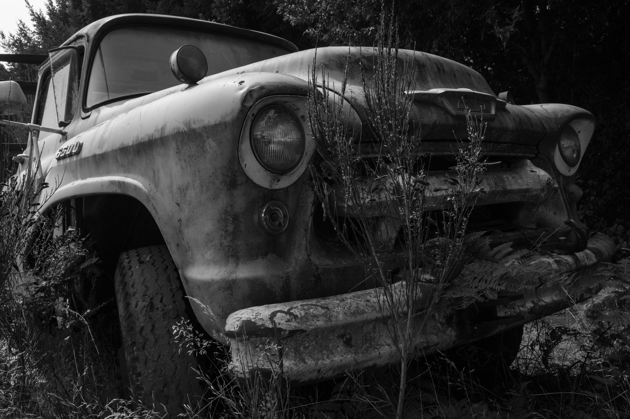 In the Weeds