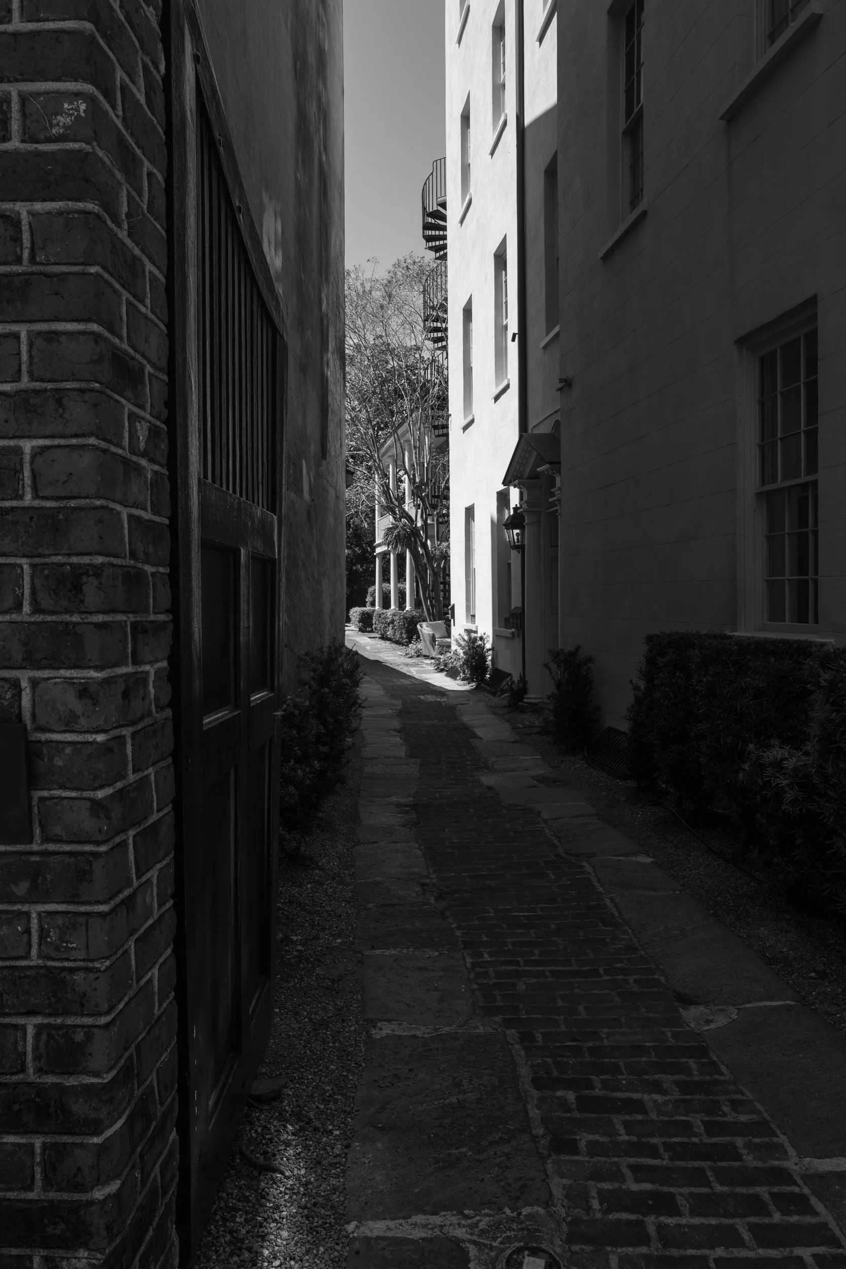 LBK_Carolinas_20220327_0702.jpg