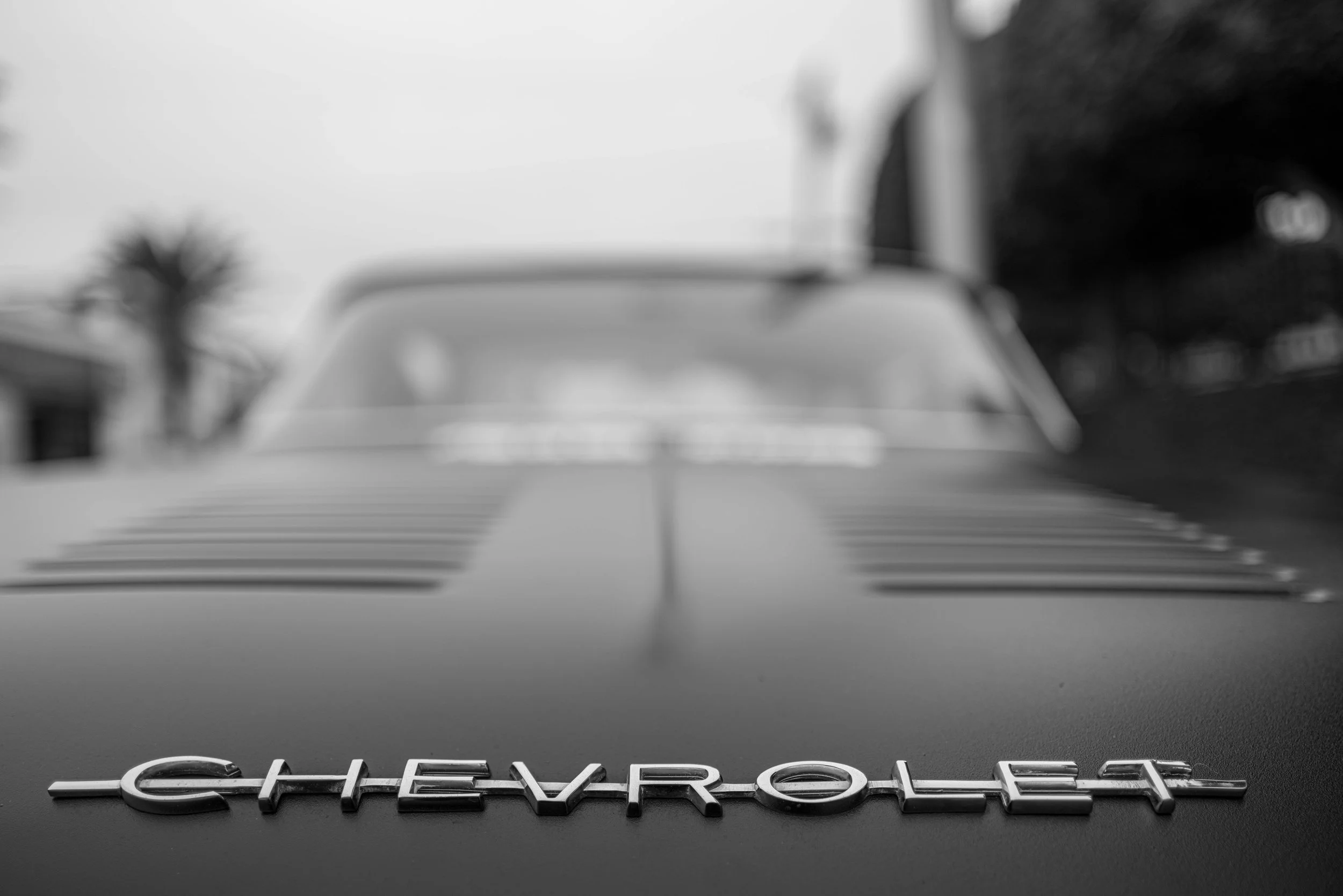 LBK_LeicaGallerySeanBlack_061622_0114.jpg