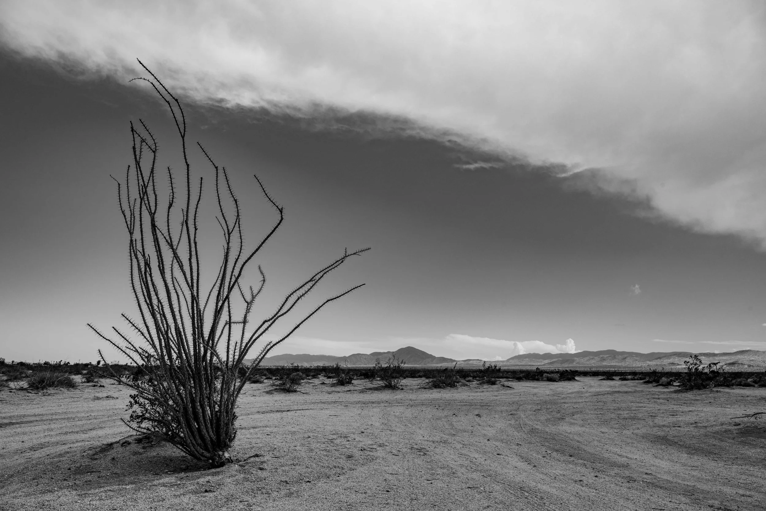 LBK_MiramarMCAS_082022_0990.jpg