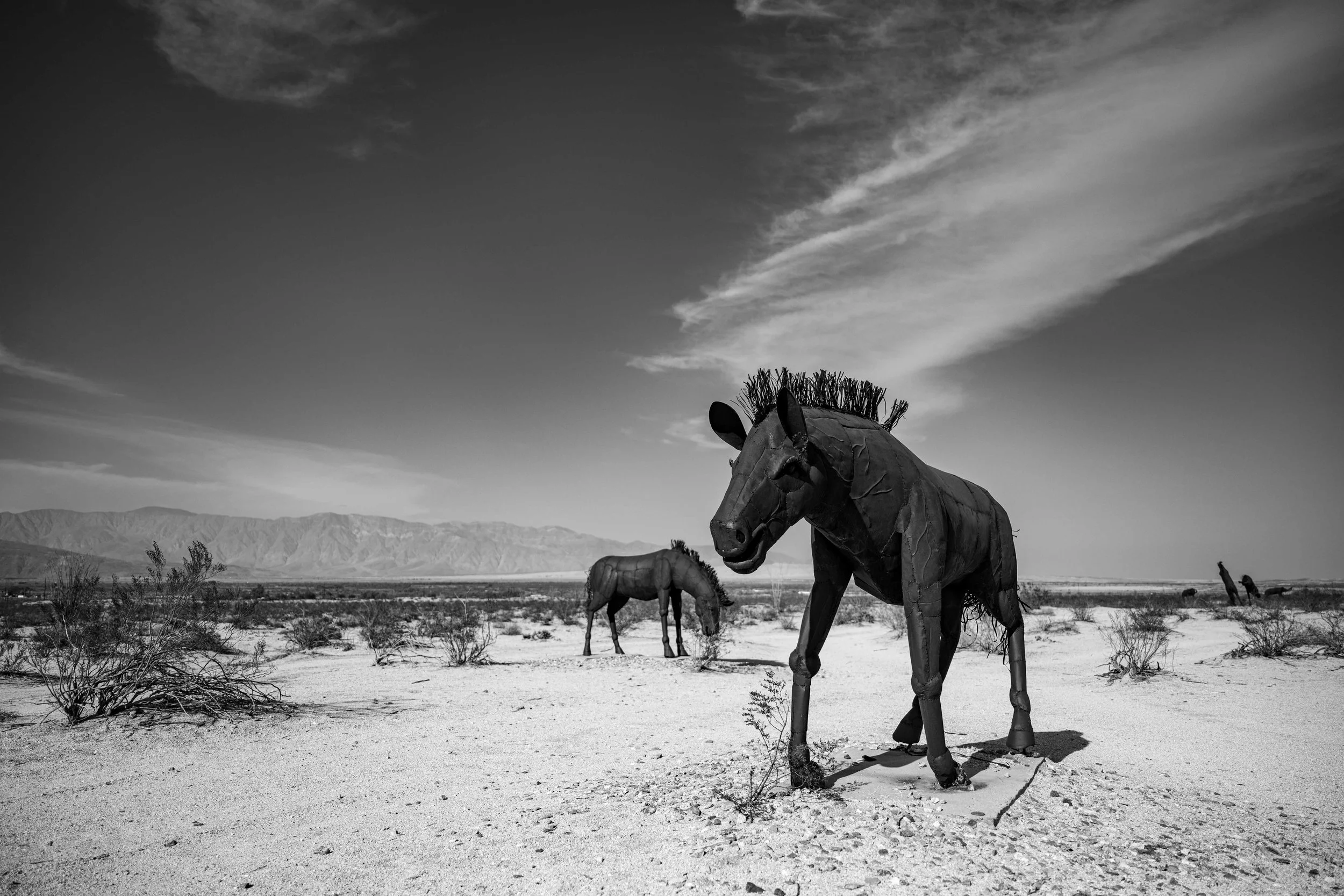 LBK_MiramarMCAS_082022_1051.jpg