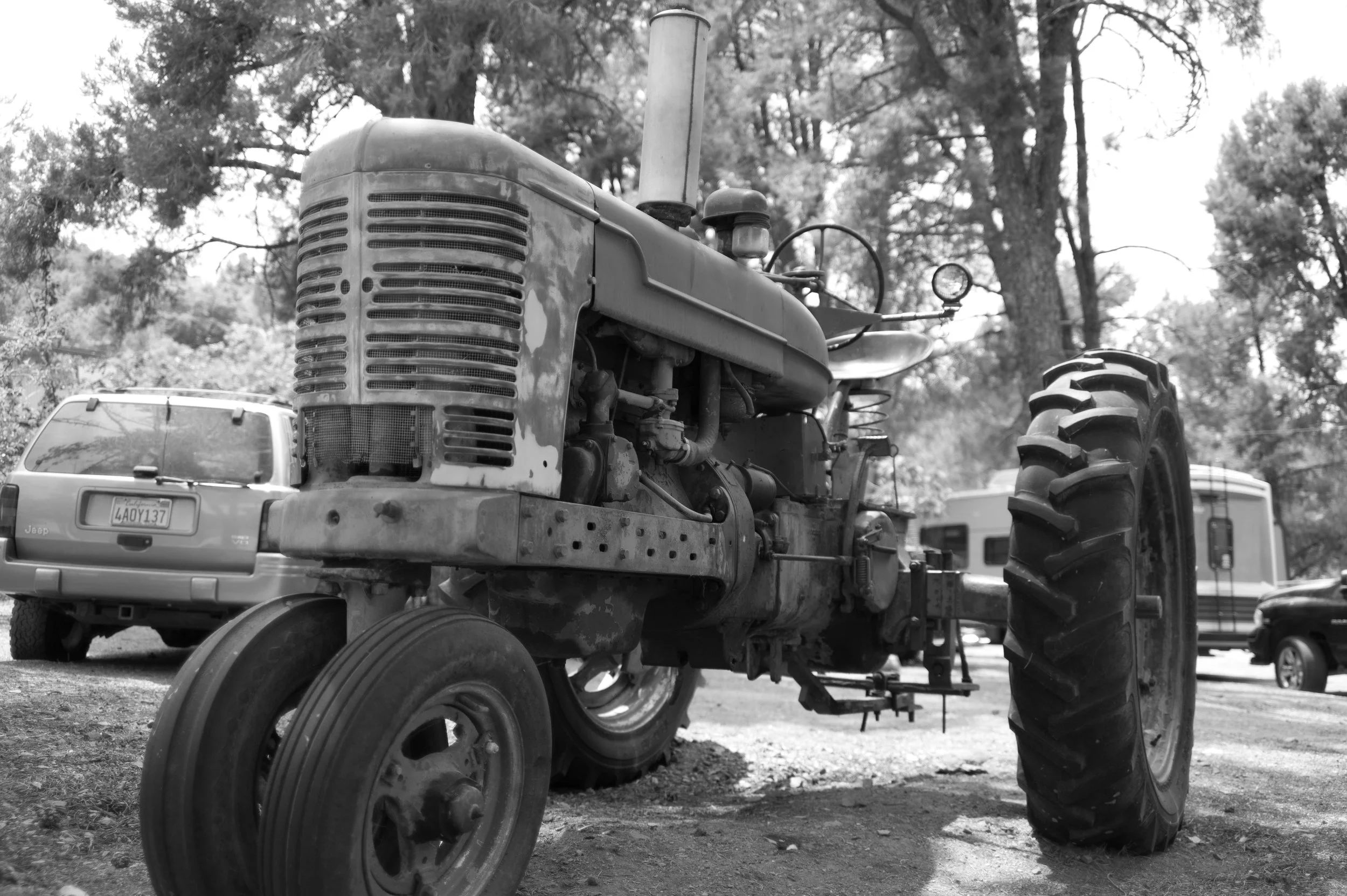 L1001339.jpg