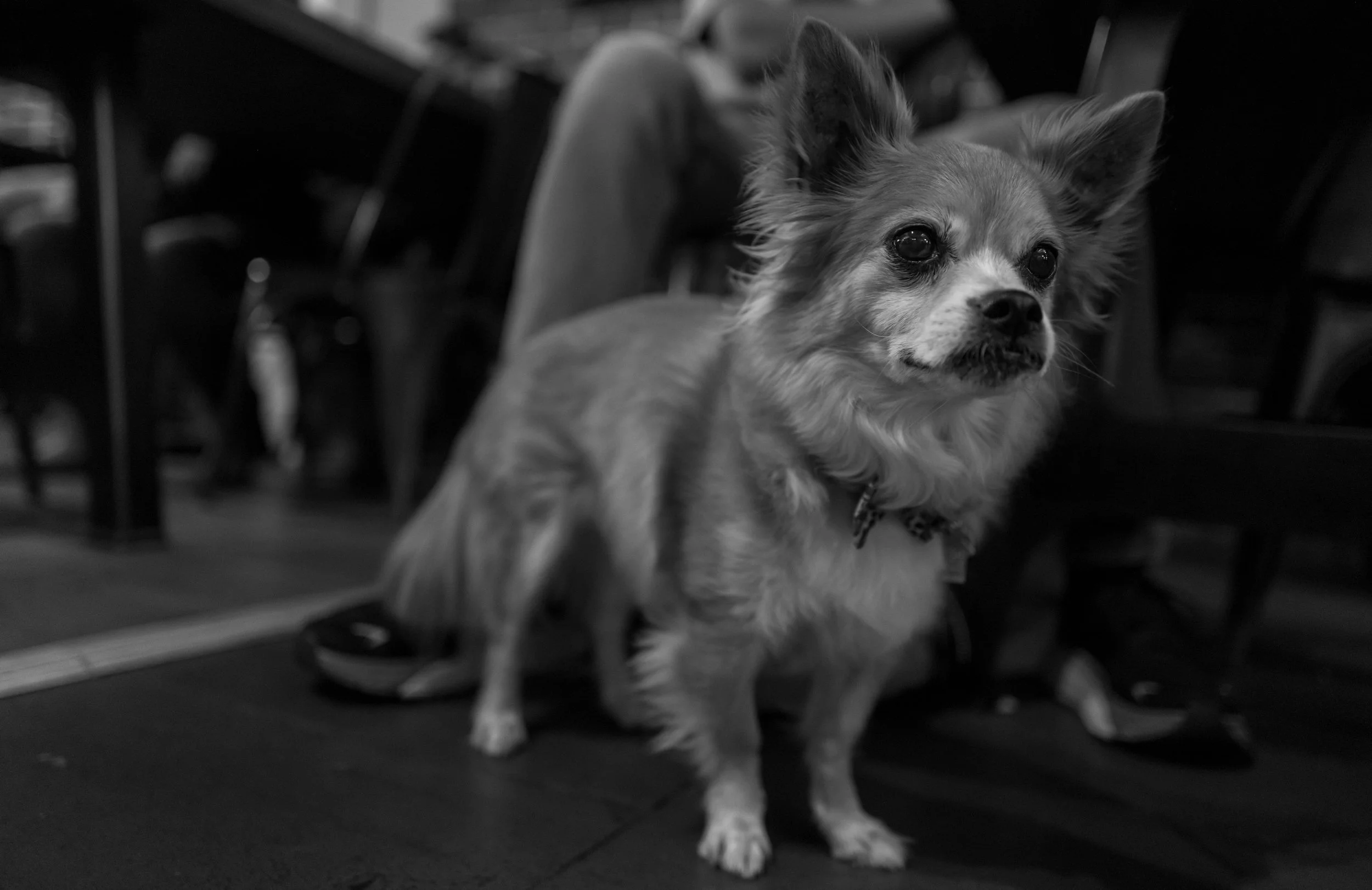 LBK_PourHouse_070723_0067.jpg