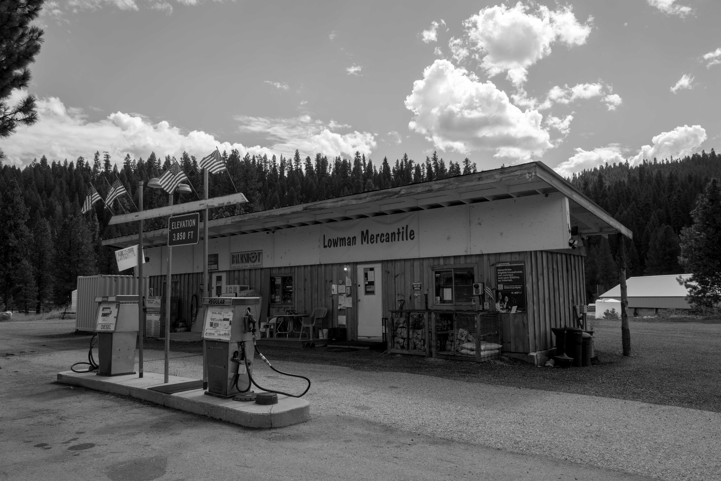 L1010087.jpg