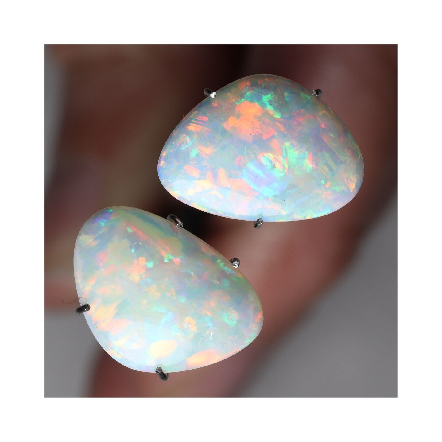 Twinsie free-form crystal opal hailing from Coober Pedy. Collectively they're 3.9ct and roughly 13 x 9.5mm each. 

What a spectacular pair of earrings these would make! 🙌

#opalpair #australianopal #opallove #unsetopal #looseopal #crystalopal