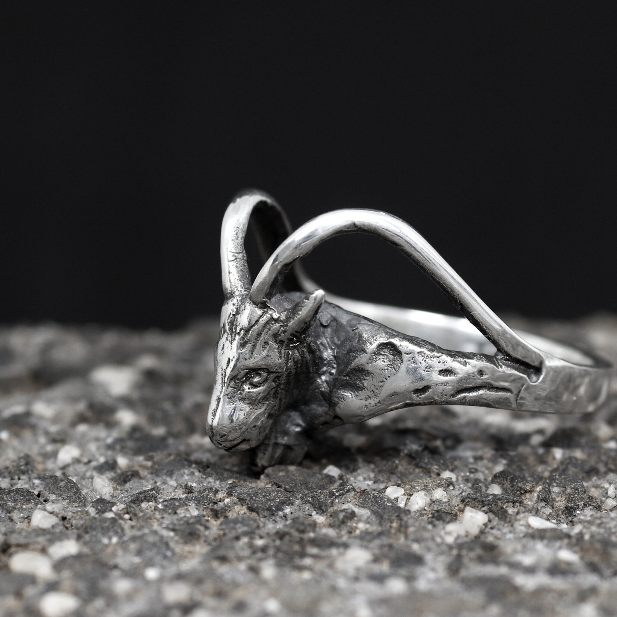 Ram longhorn ring in solid silver. Or is it a goat? 🤔 Longhorn buck, instead? 

#sheeporgoat #animalring #animaljewellery #animaljewelry #ram #goat #horns #alastairscollection