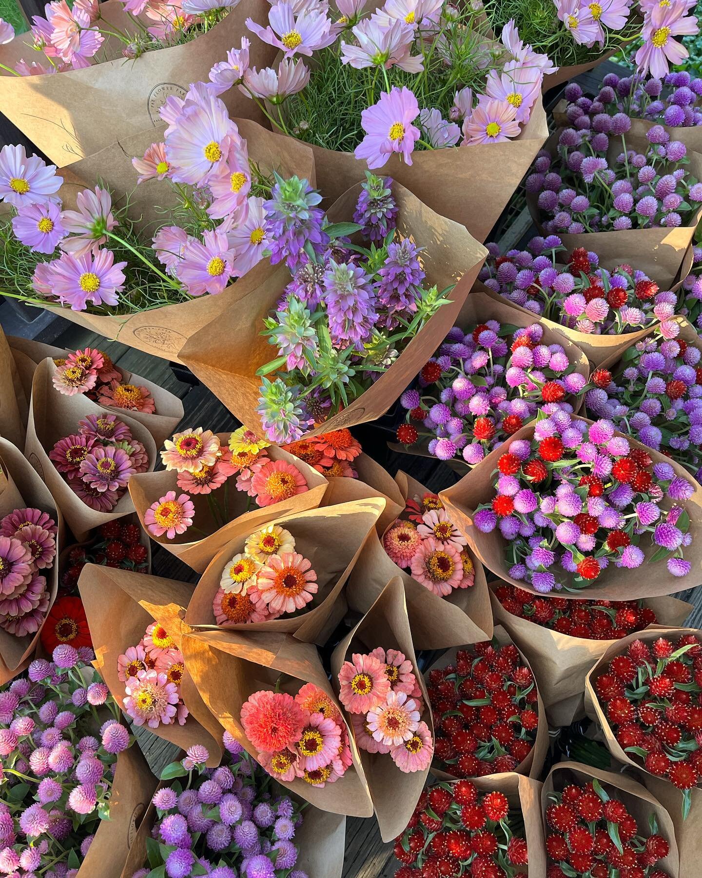 See you today (Sunday 9/17) at @catskillfarmersmarket from 10AM-2PM with all of these and more!! 🌸🍓🌥️✨👩🏻&zwj;🌾

Please note location change below!

📍Catskill Farmer&rsquo;s Market
201 Water Street
Catskill, NY 12414