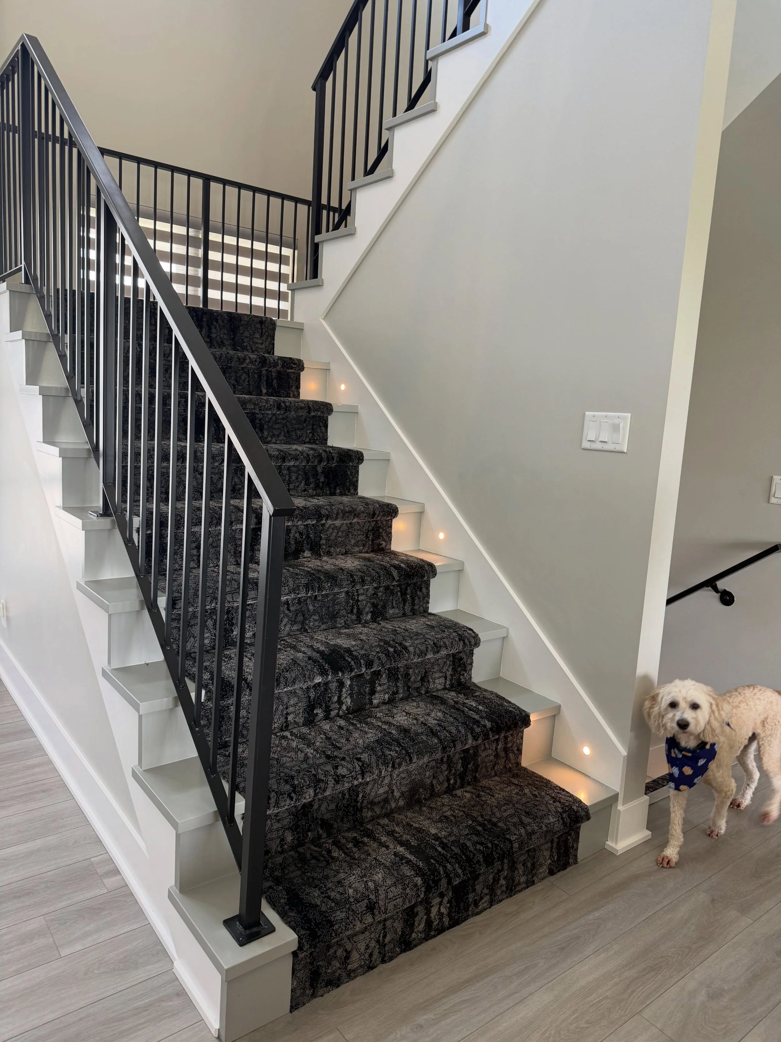 Doggy approved stair runner! 

Designed by Liz 

Omaha design | interiors | IDF | Omaha Nebraska