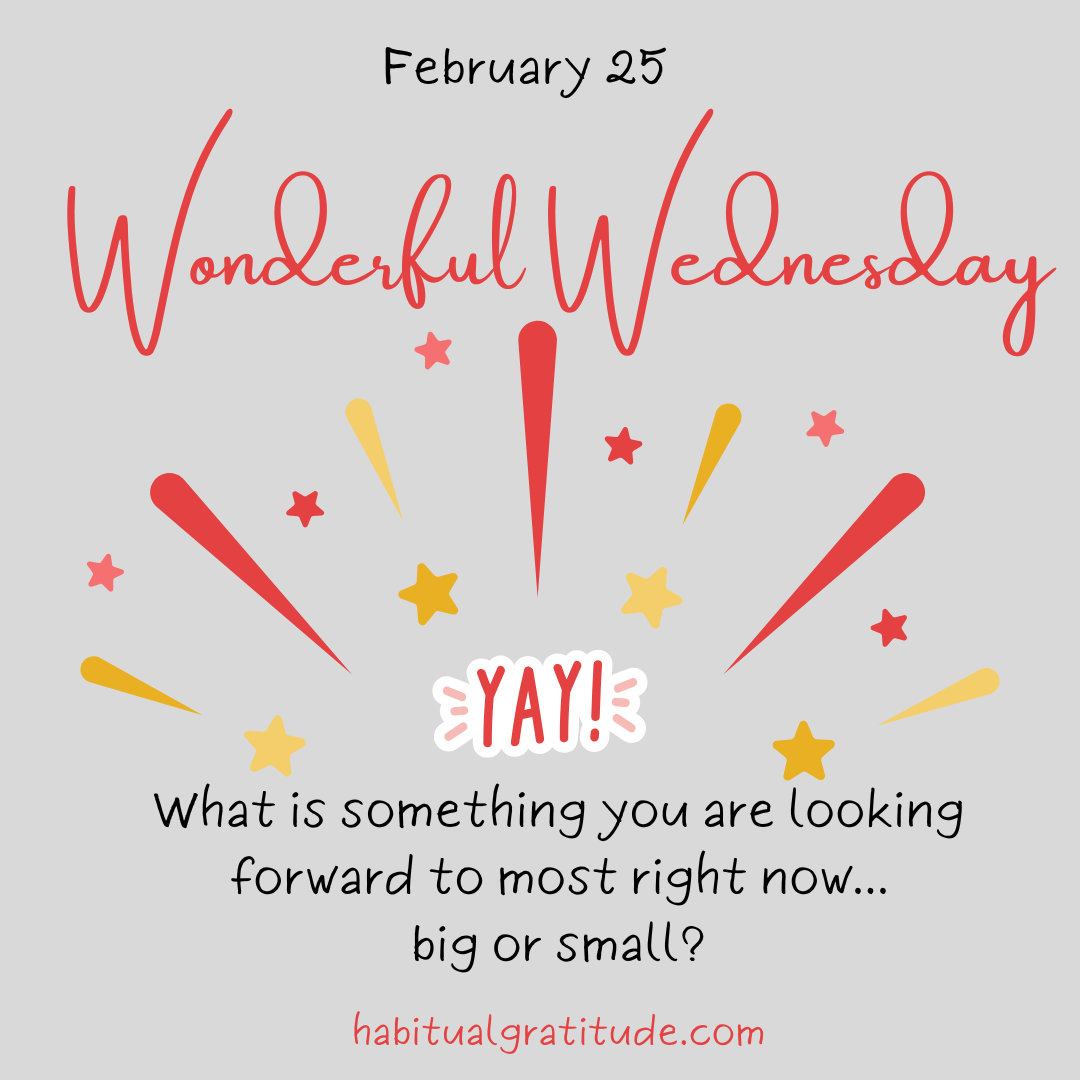 What is something you are looking forward to most right now…big or small?