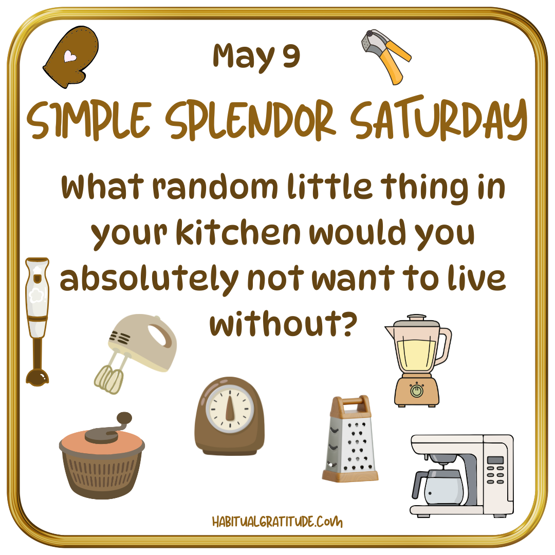 What random thing in your kitchen would you absolutely not want to live without?