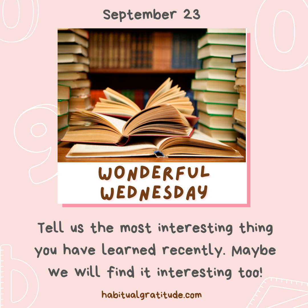 Tell us the most interesting thing you have learned recently. Maybe we will find it interesting too!