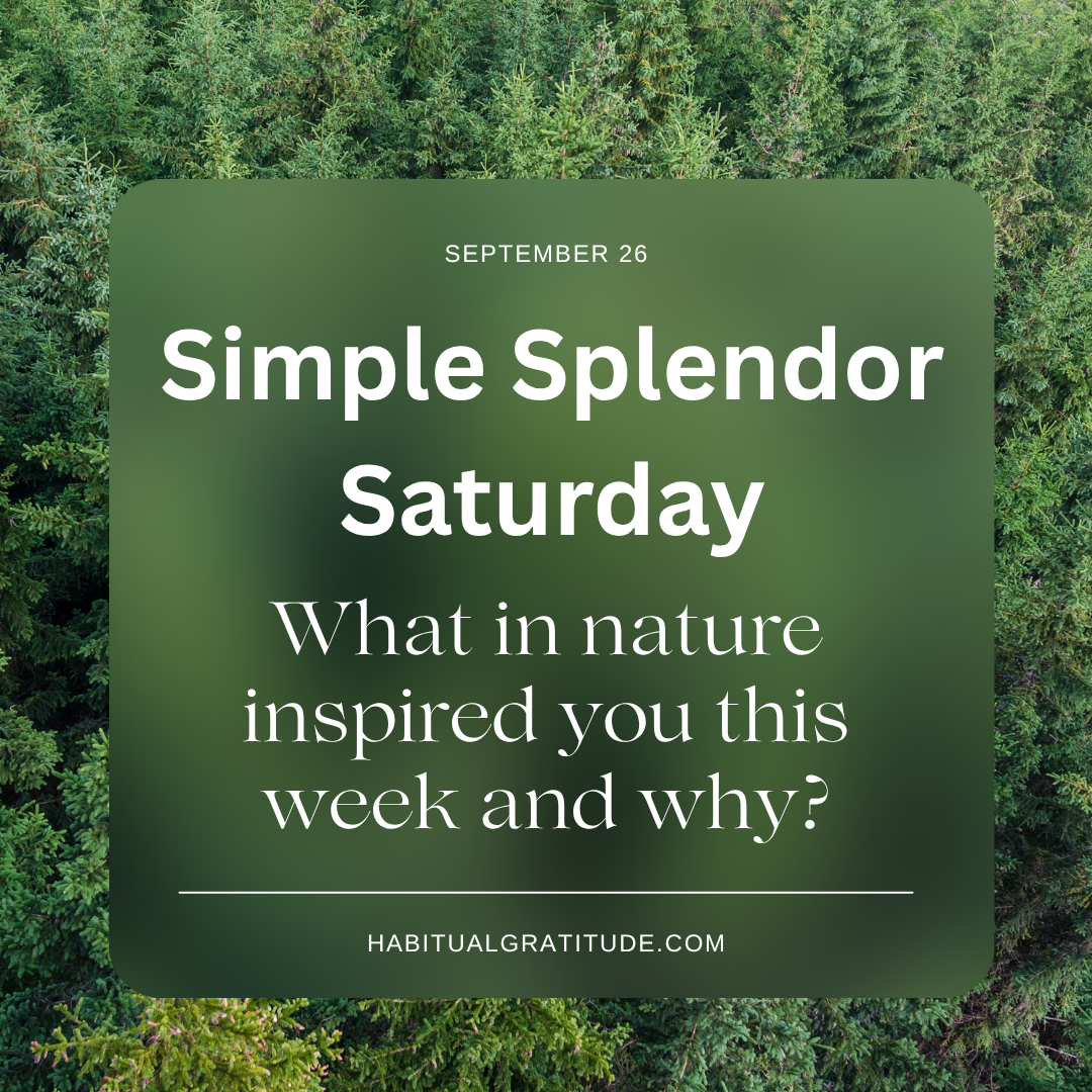 What in nature inspired you this week and why?