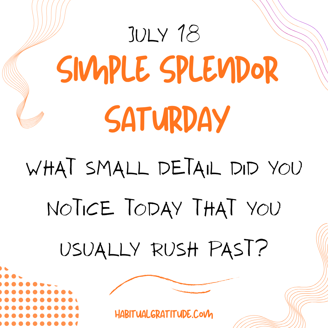 What small detail did you notice today that you usually rush past?