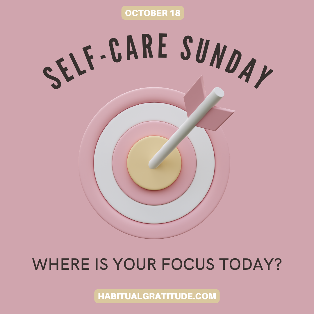Where is your focus today?