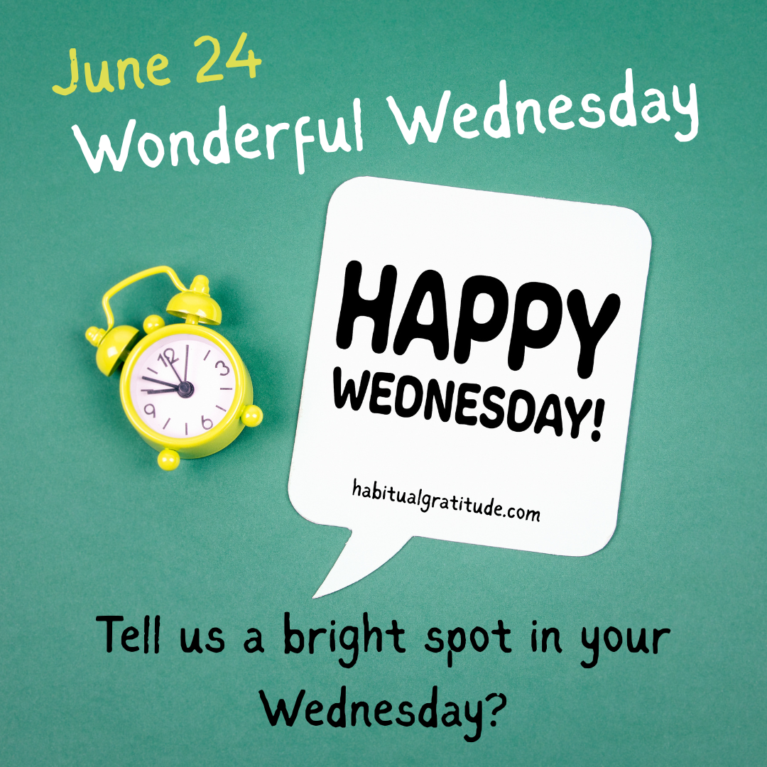 Tell us a bright spot in your Wednesday.