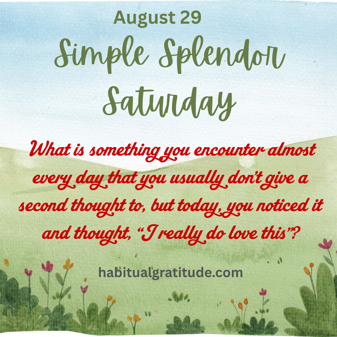 What is something you encounter almost every day that you usually don’t give a second thought to, but today, you noticed it and thought, “I really do love this!”