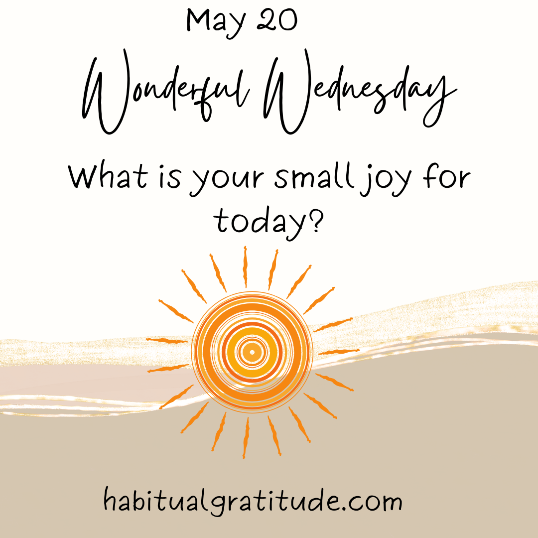What is your small joy for today?