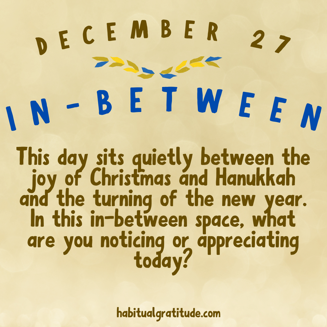 This day sits quietly between the joy of Christmas and Hanukkah and the turning of the new year. In this in-between space, what are you noticing or appreciating today?