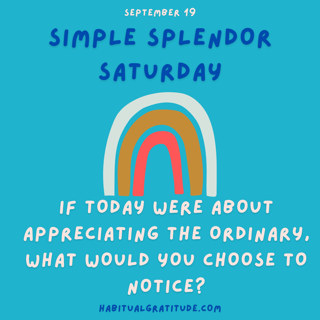 If today were about appreciating the ordinary, what would you choose to notice?