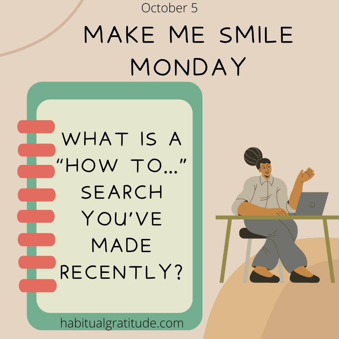 What is  “how to” search you’ve made recently?”