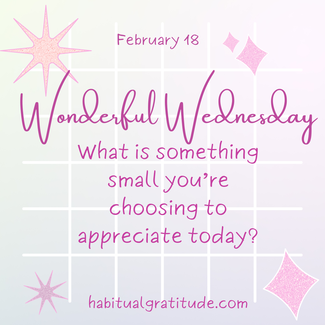 What is something small you’re choosing to appreciate today?