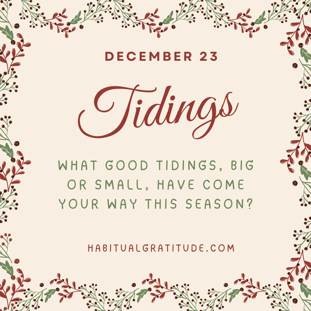What good tidings, big or small, have come your way this season?