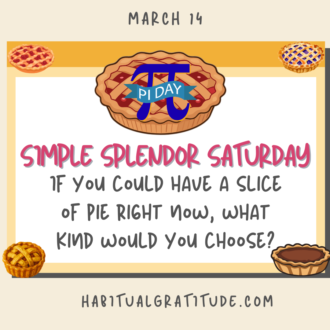 If you could have a slice of pie right now, what kind you you choose?