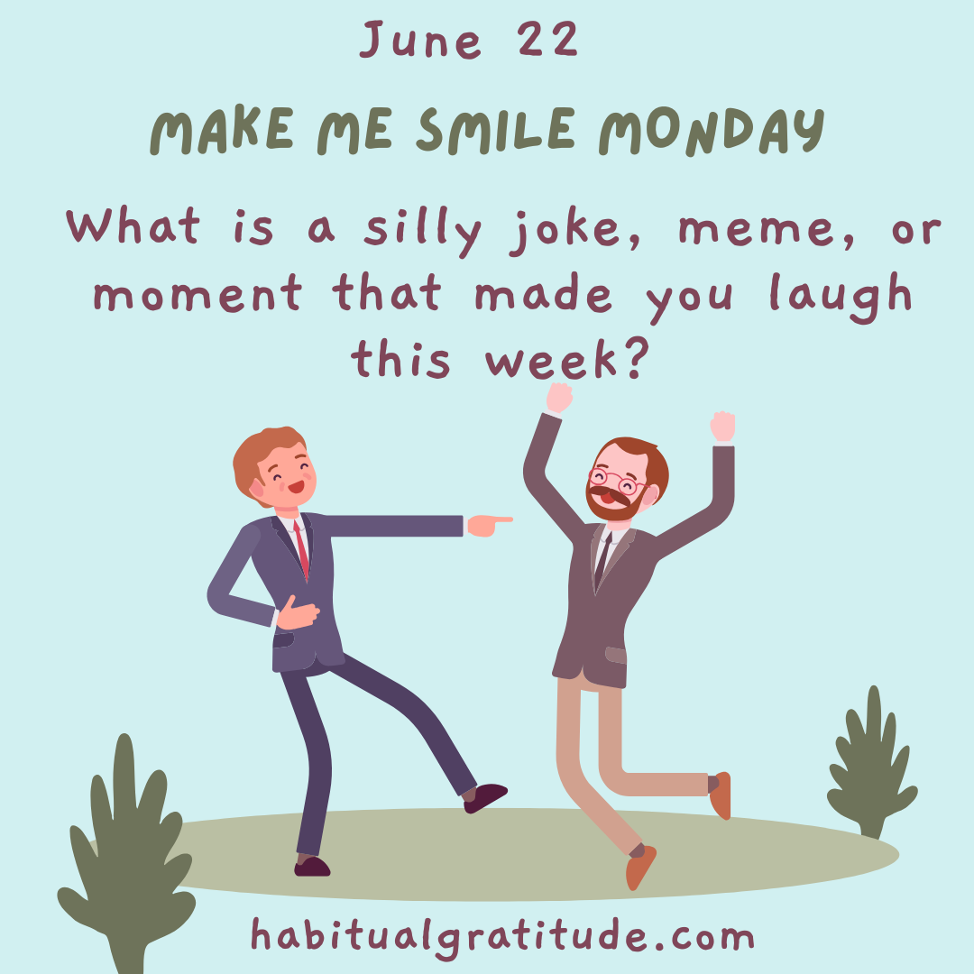 What is a silly joke, meme or moment that made you laugh this week?