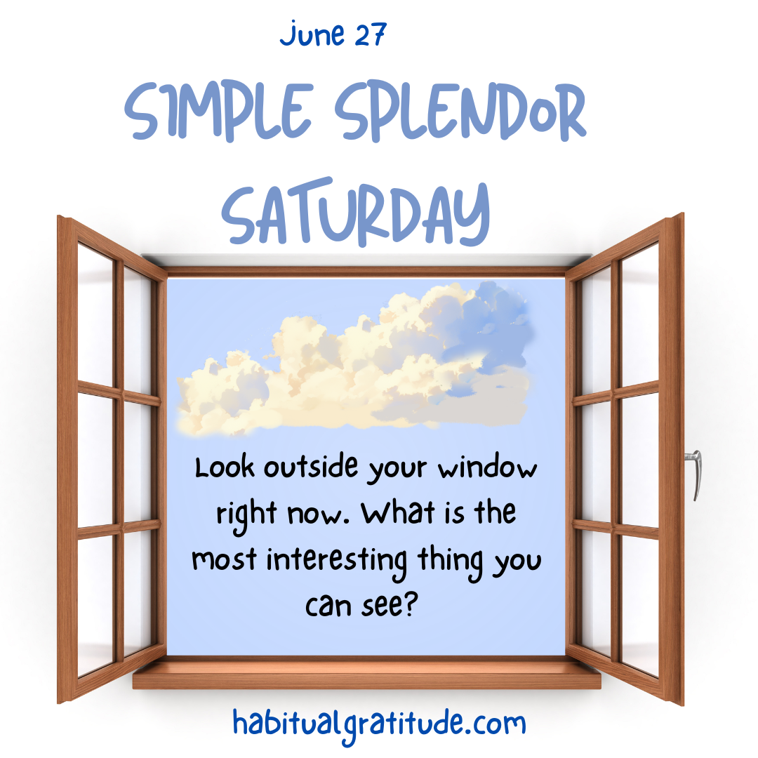 Look outside your window right now. What is the most interesting thing you can see?