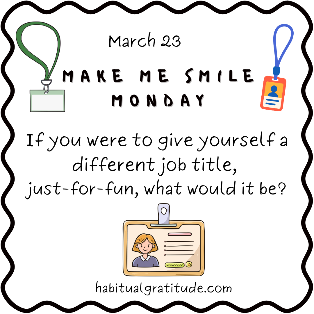 If you were to give yourself a different job title, just-for-fun, what would it be?