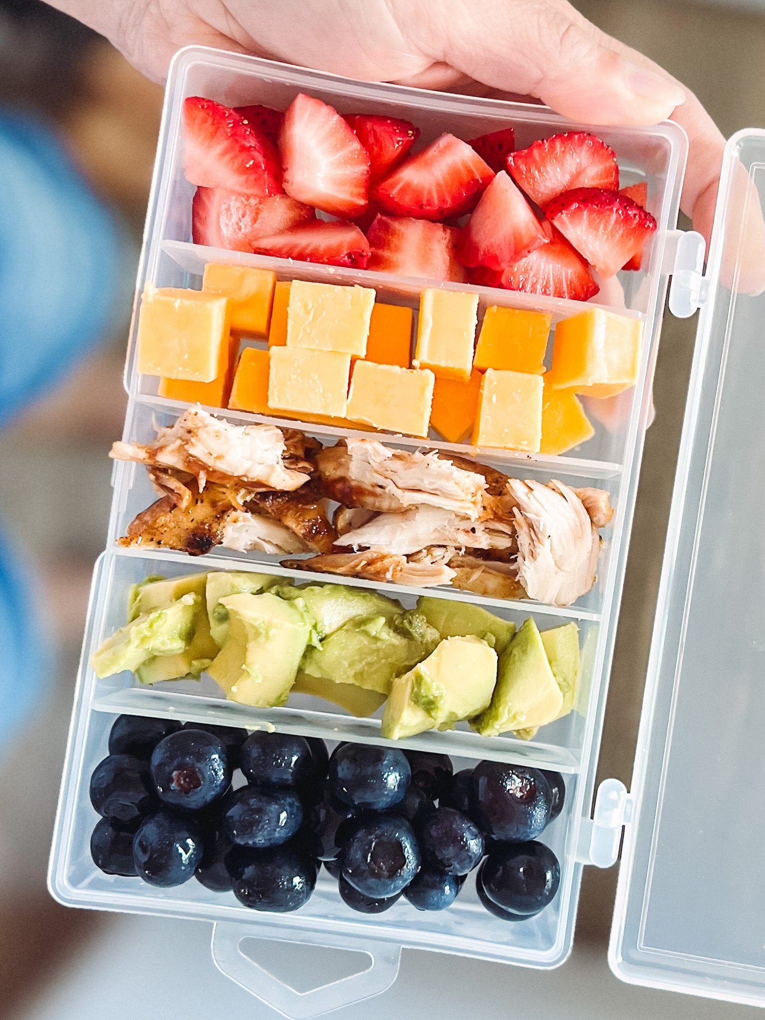 toddler snackle box ideas even adults will love — cerriously