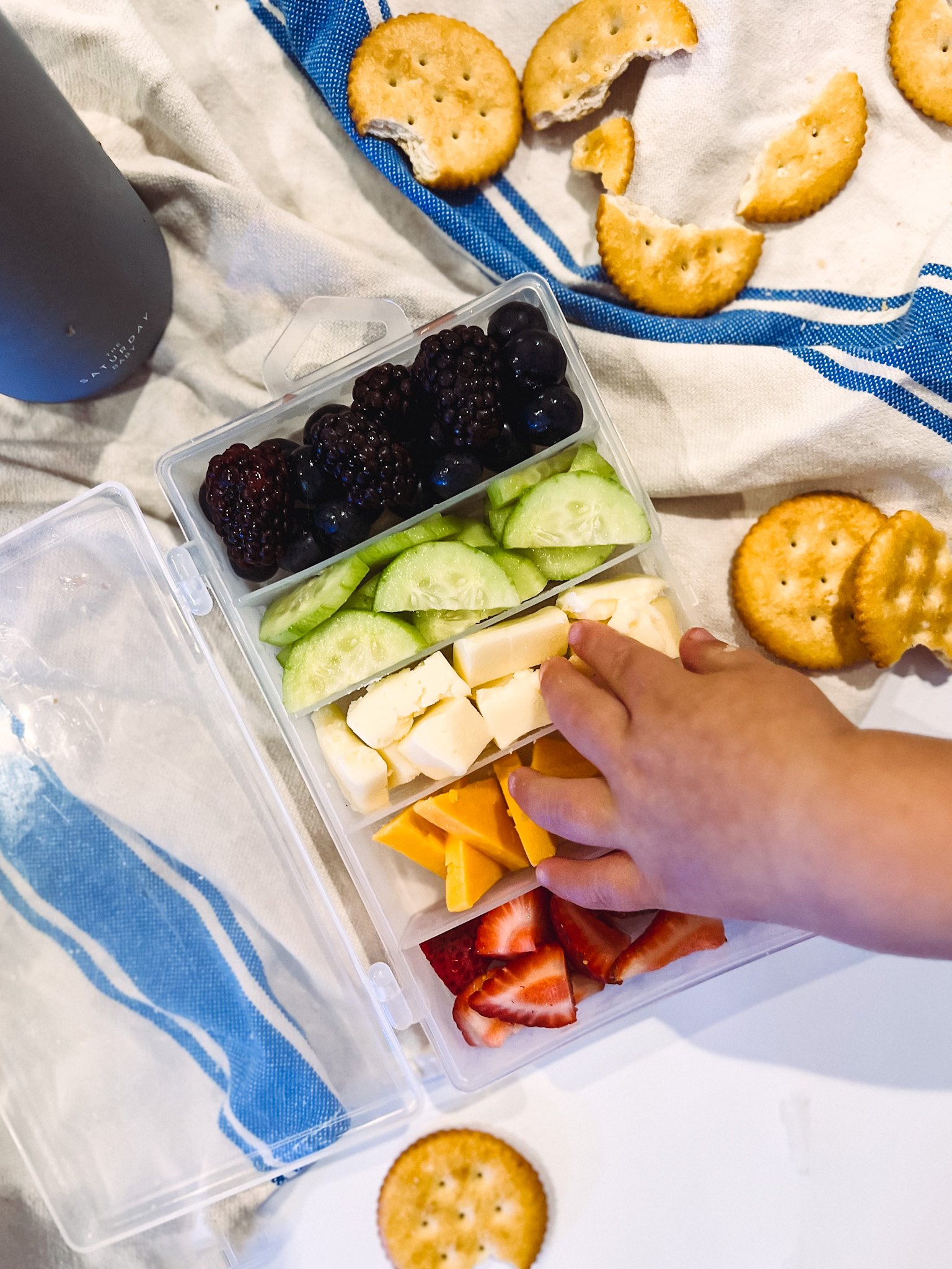 toddler snackle box ideas even adults will love — cerriously