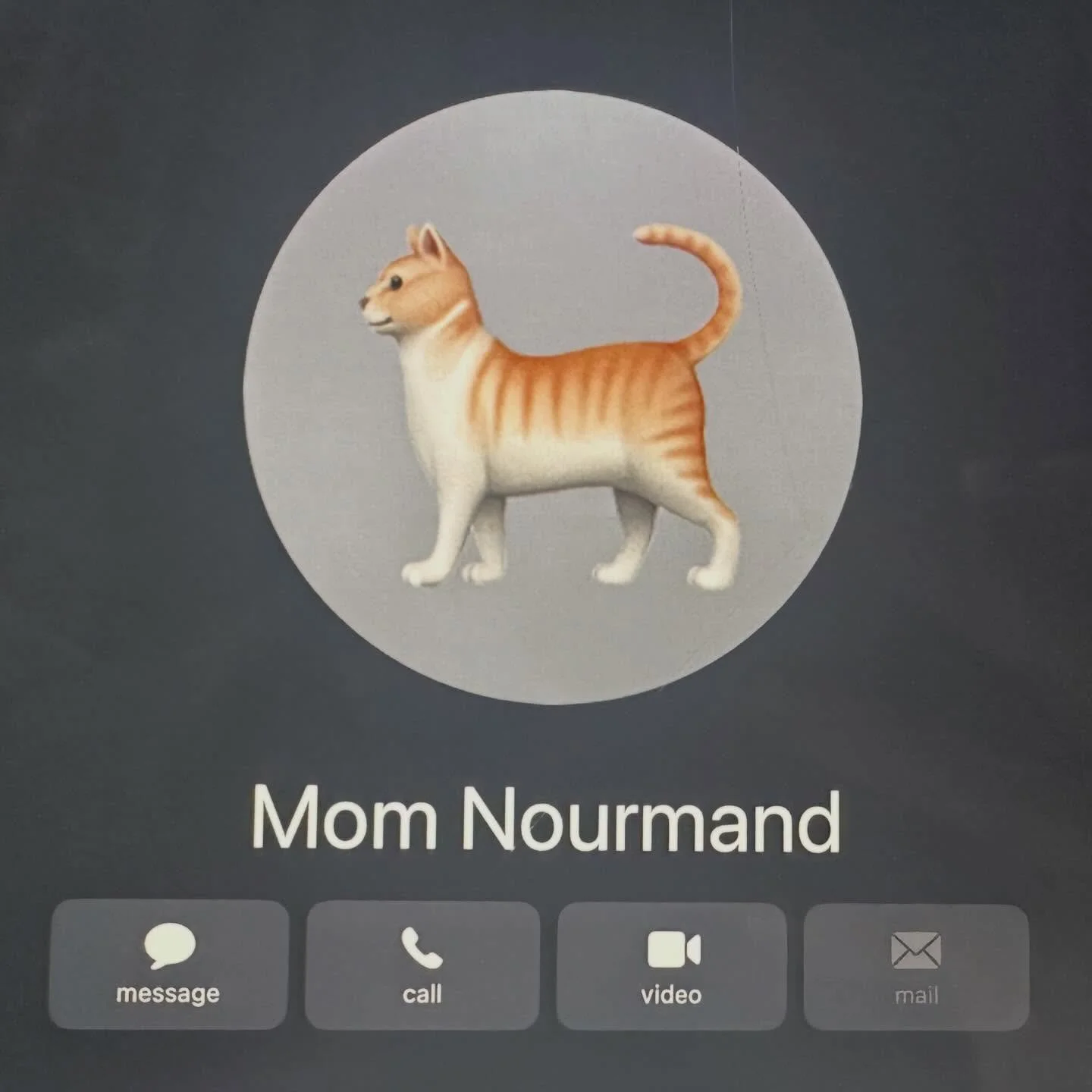 My nine-year-old daughter has me saved as &ldquo;Mom Nourmand&rdquo; on her iPad. There&rsquo;s something so sweet and endearing about it to me.

Becoming someone&rsquo;s mom&mdash;and being someone&rsquo;s mom&mdash;is such a massive identity shift.