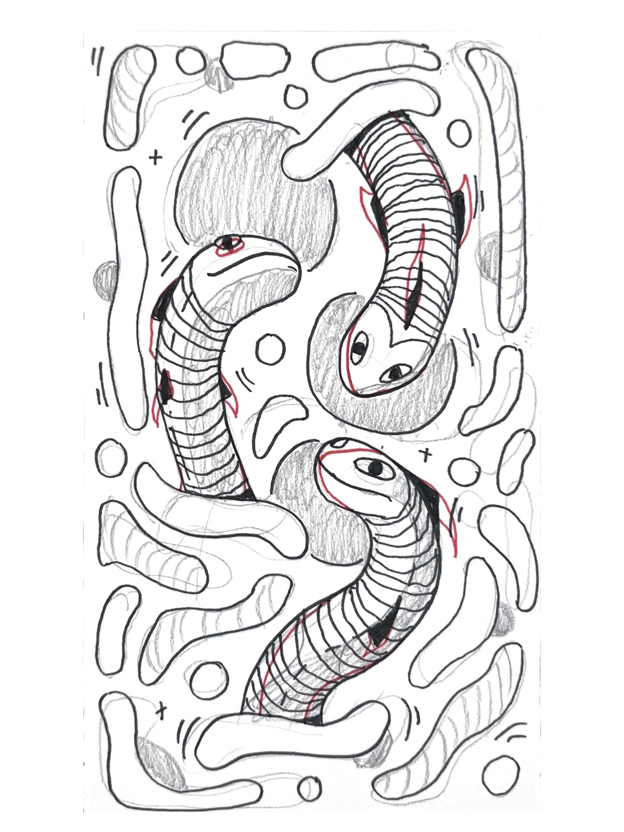 Initial handdrawn sketch of water snake composition with annotations