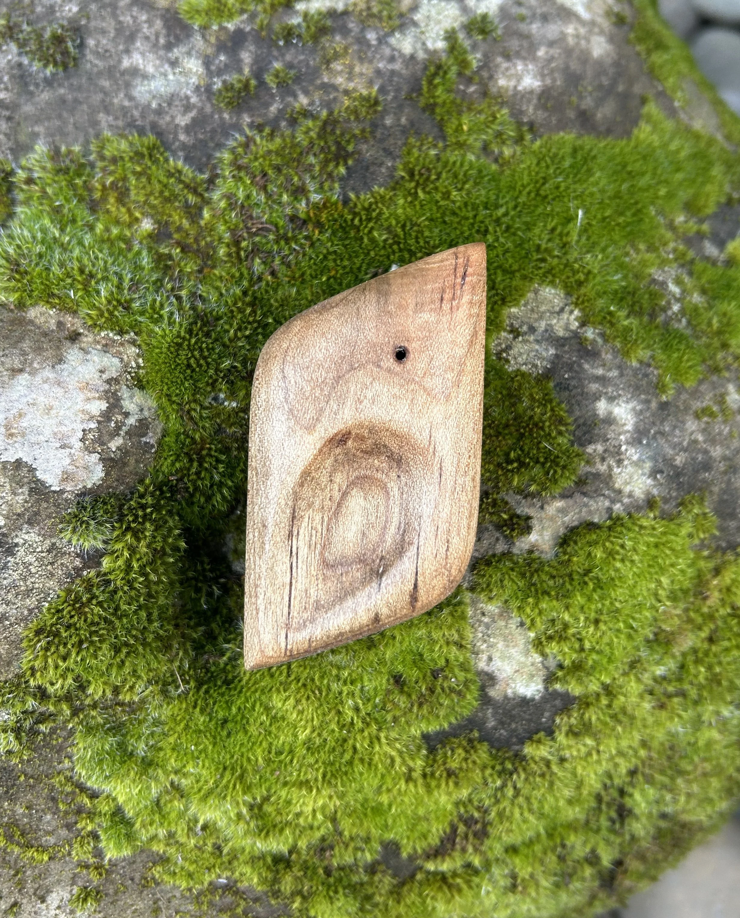 3sapwood.jpeg