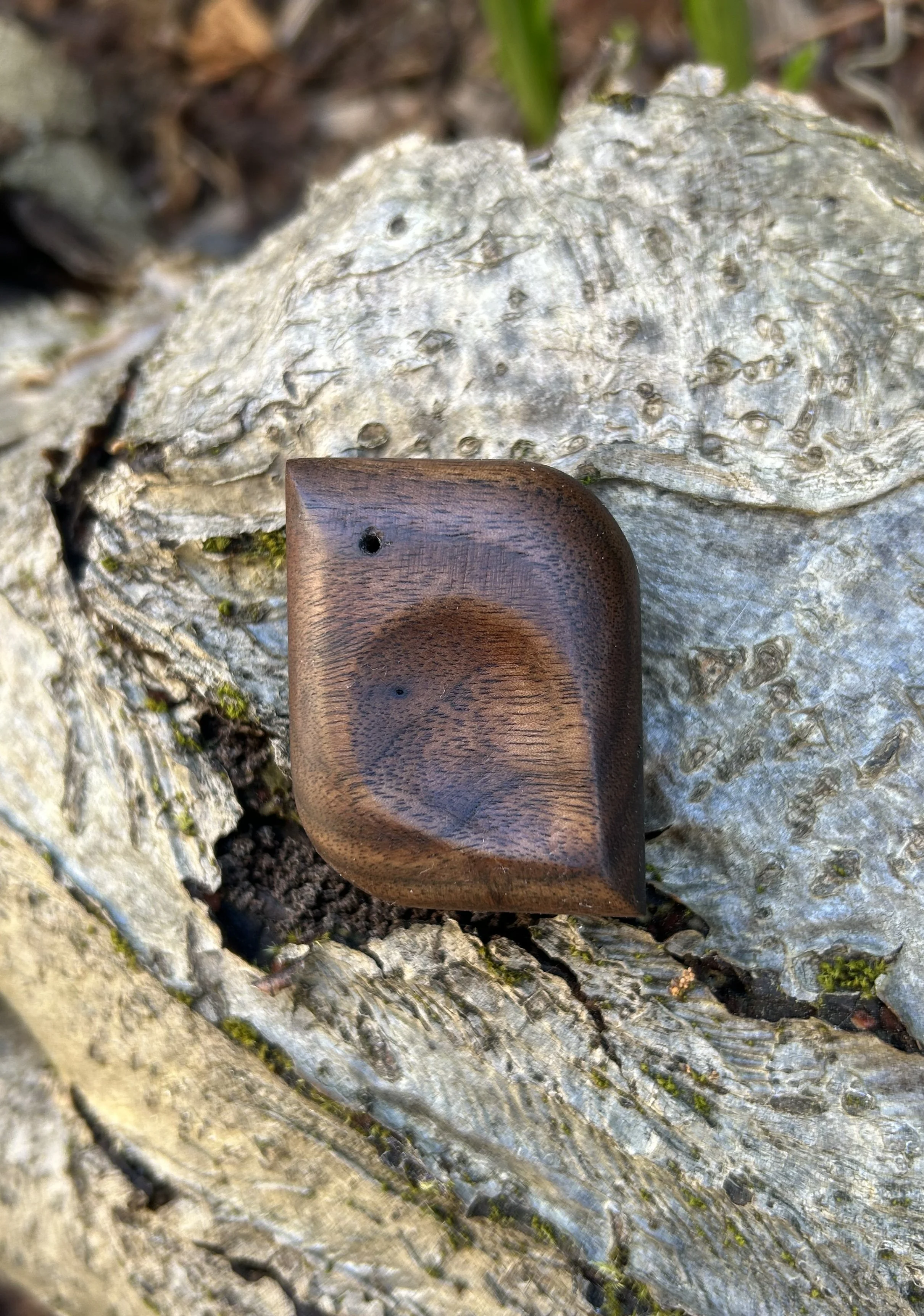 bird_walnut2.jpeg