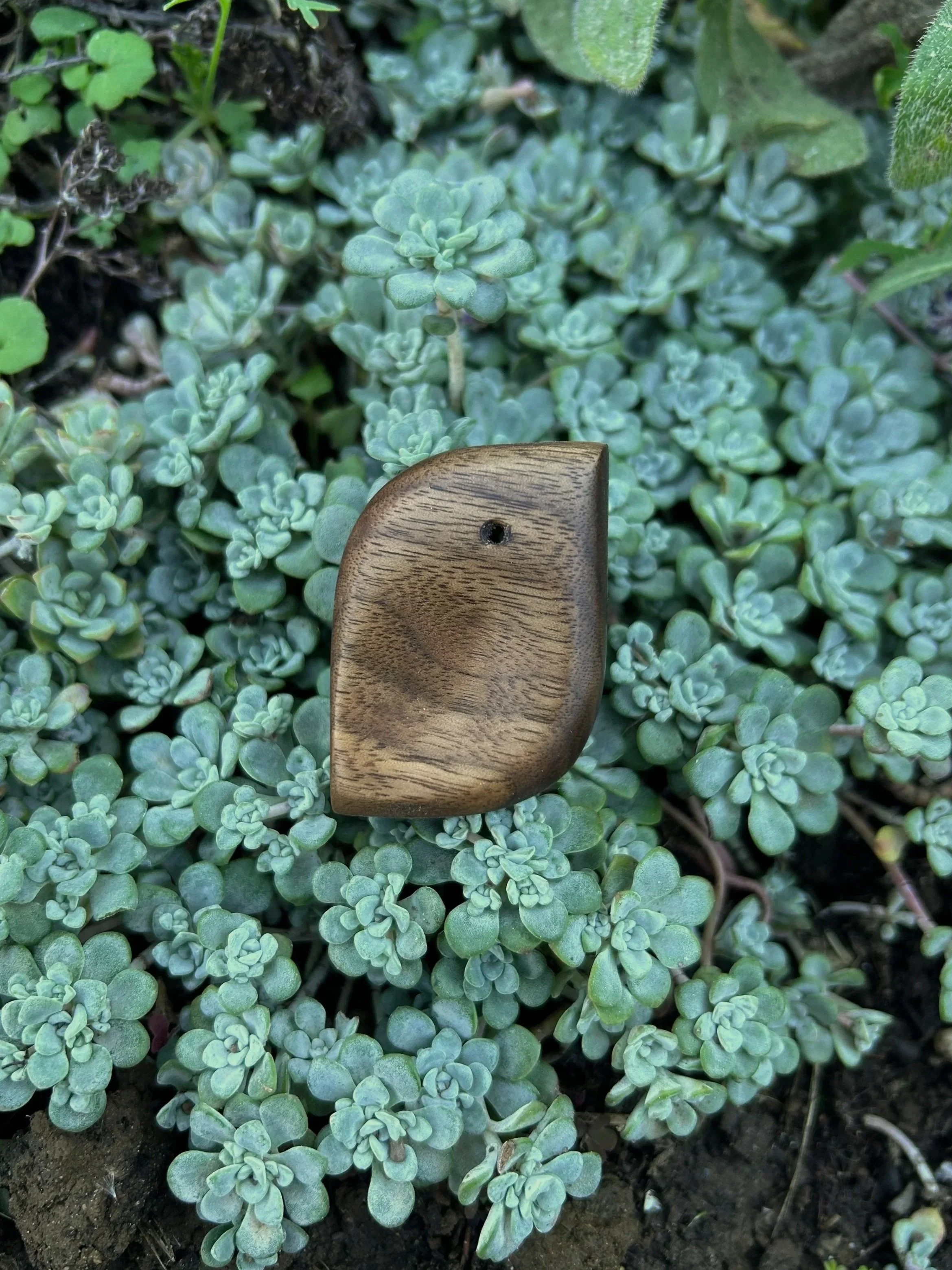 Walnut%2BThumbprint%2B1.jpg