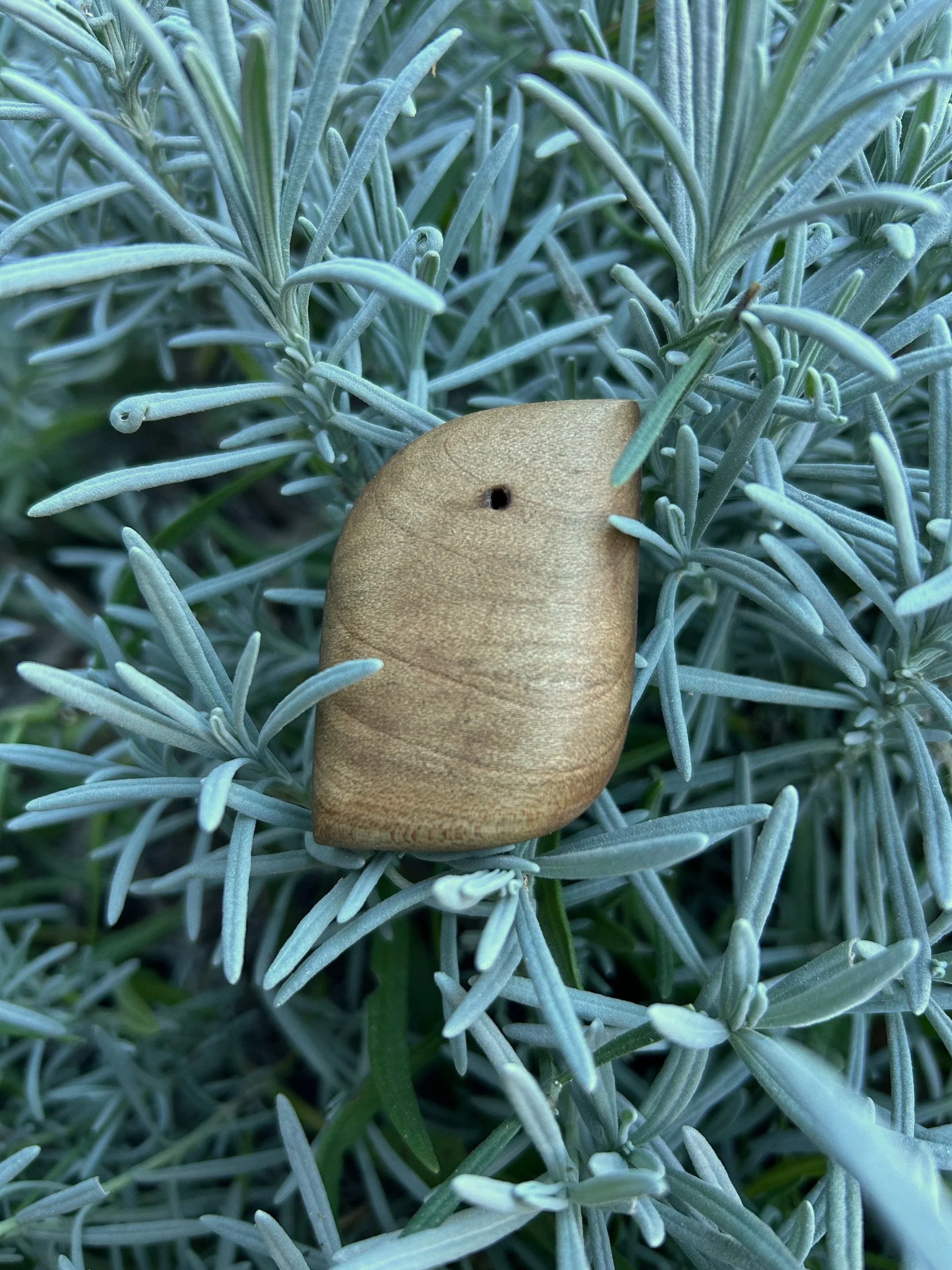 Round+Walnut+Sapwood_sold.jpg