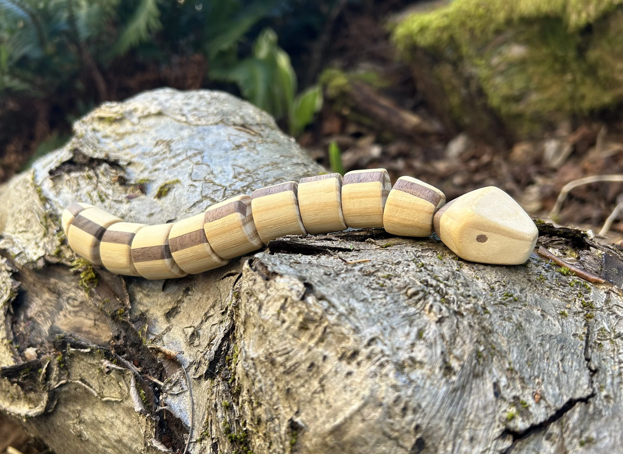 snake4.jpeg