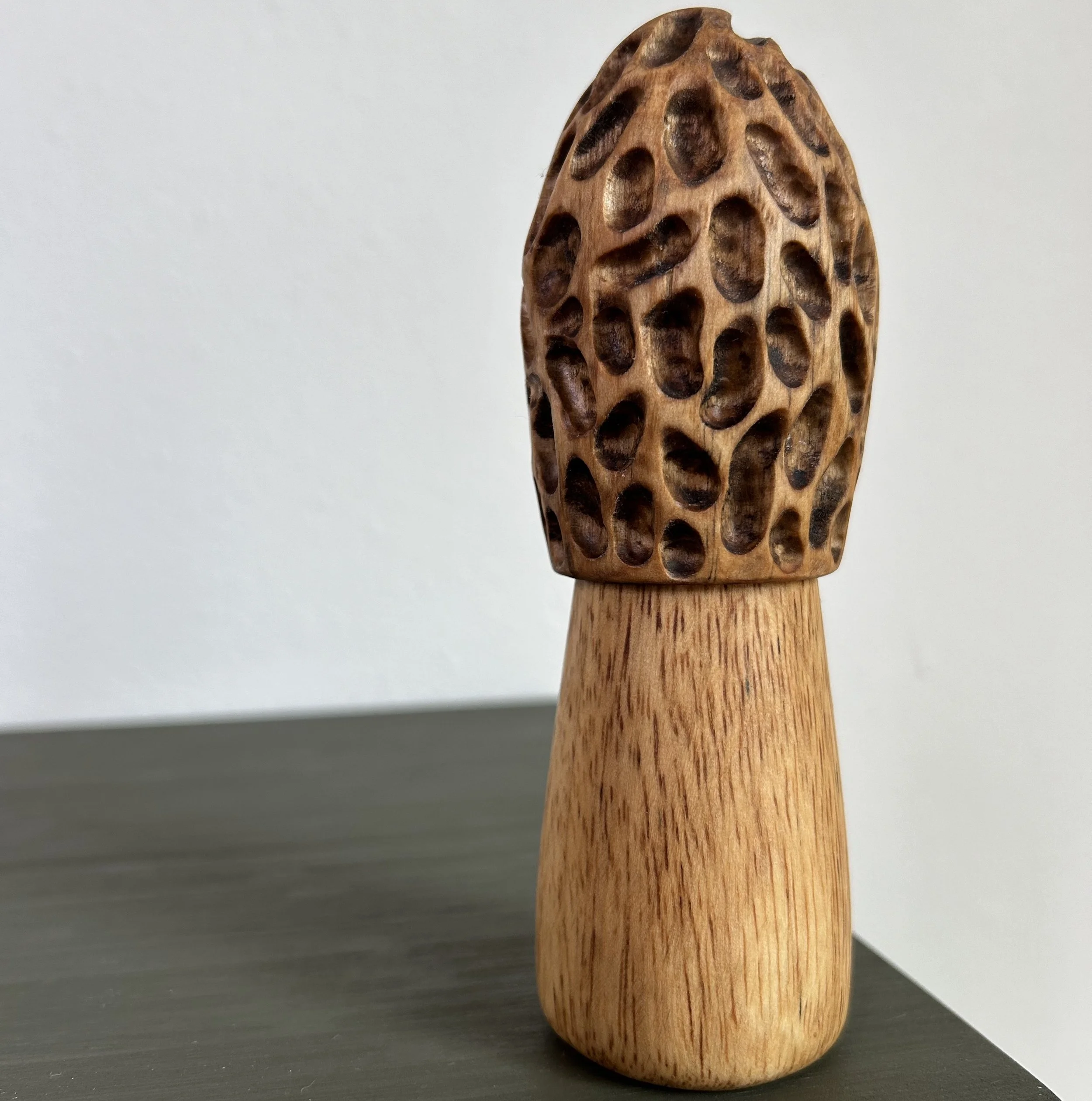 morel_crop2.jpeg