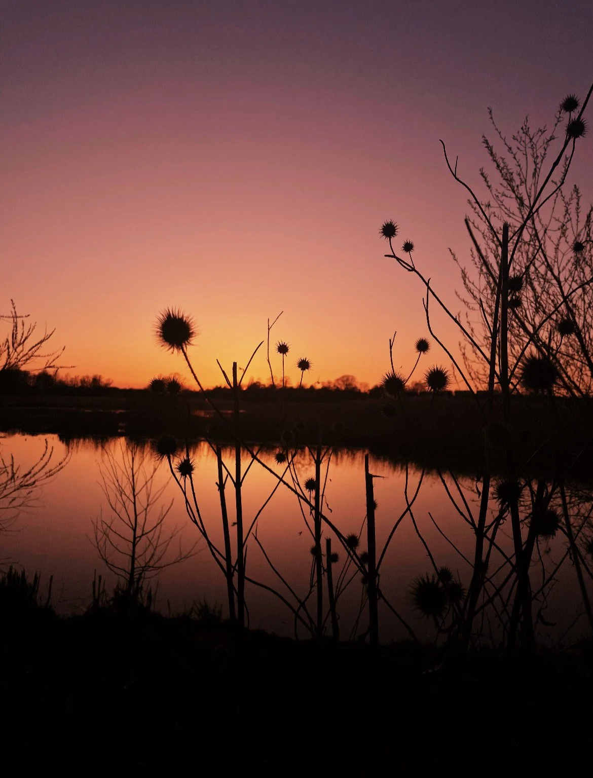 Beautiful Evening in Copengahen