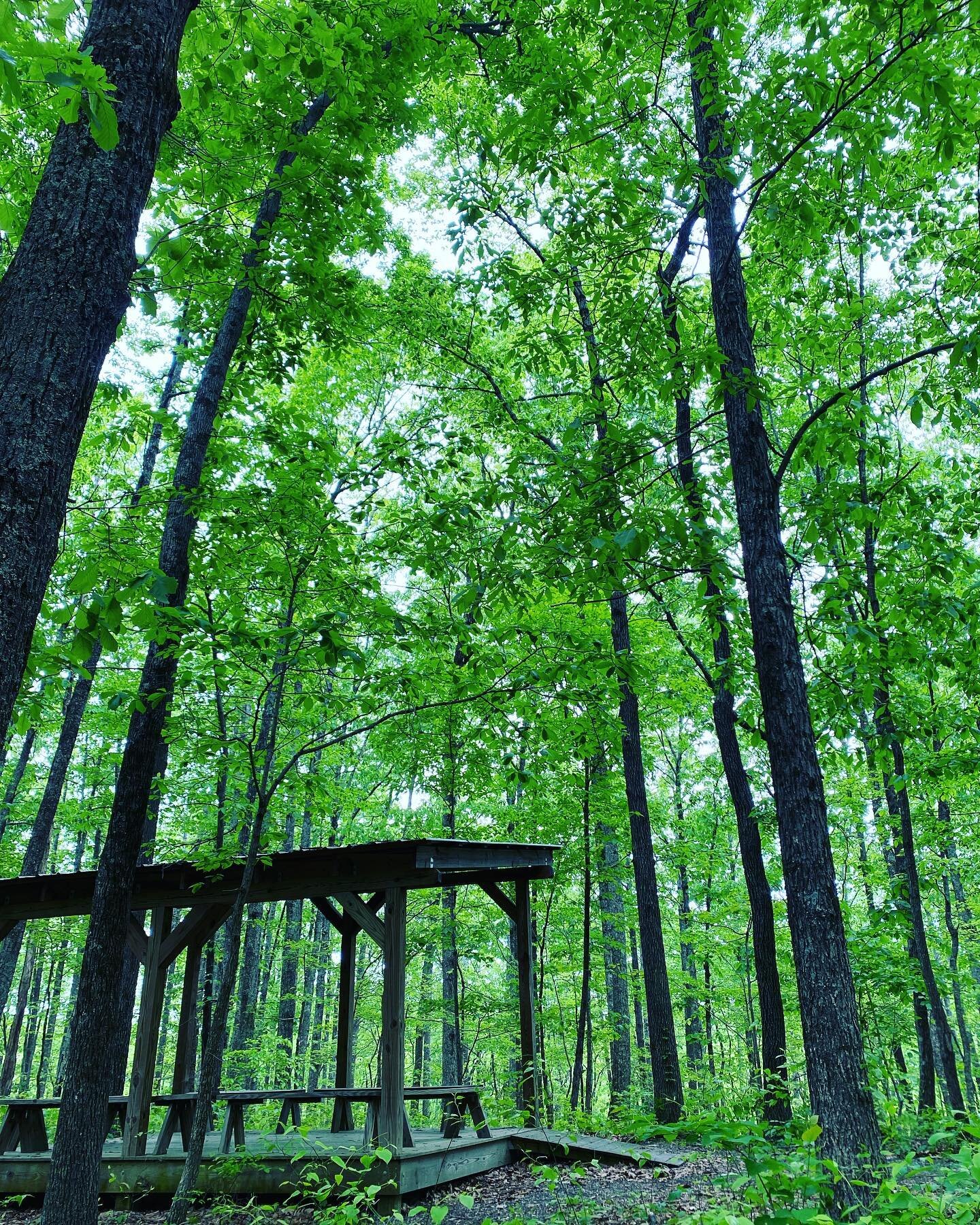 Inspiration for the new porch came from this sweet spot at #beamanpark 💚