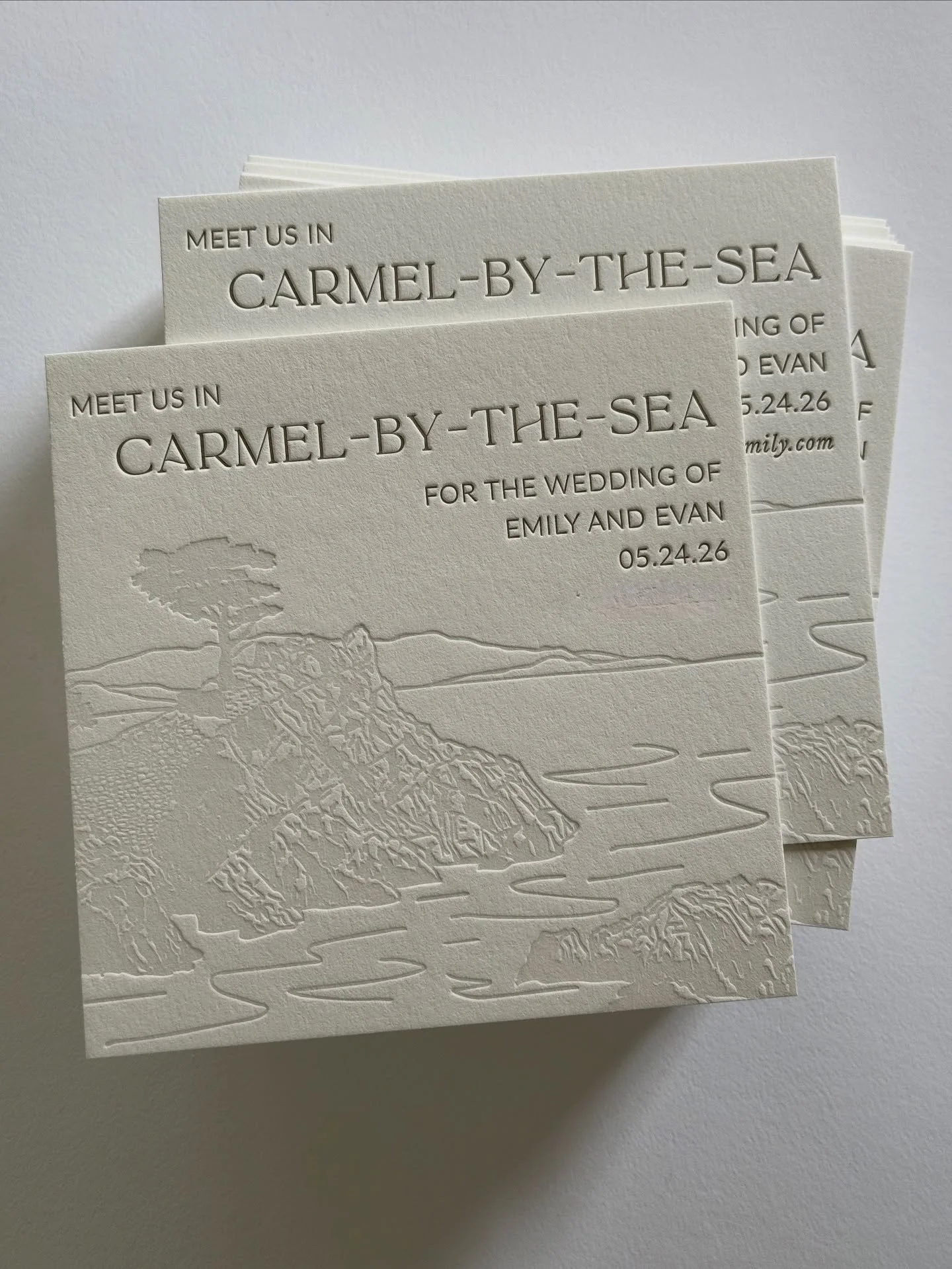 Another pic of this save the date because I love it so much!
