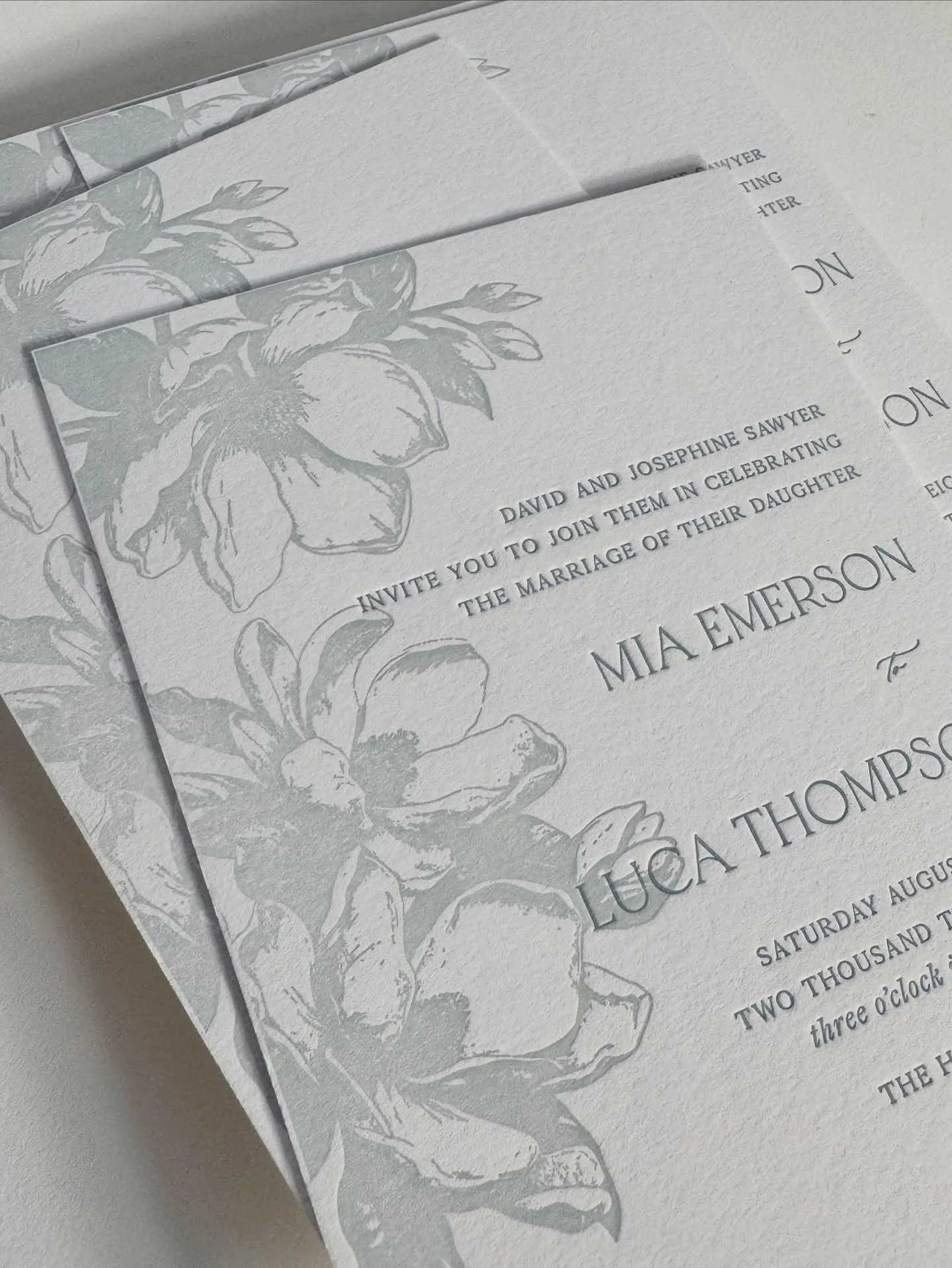 Soft blue magnolias for late summer