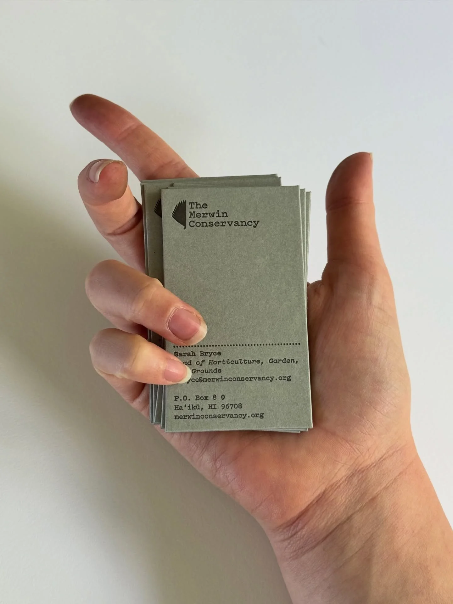 Double sided letterpress on sage cardstock for @themerwinconservancy